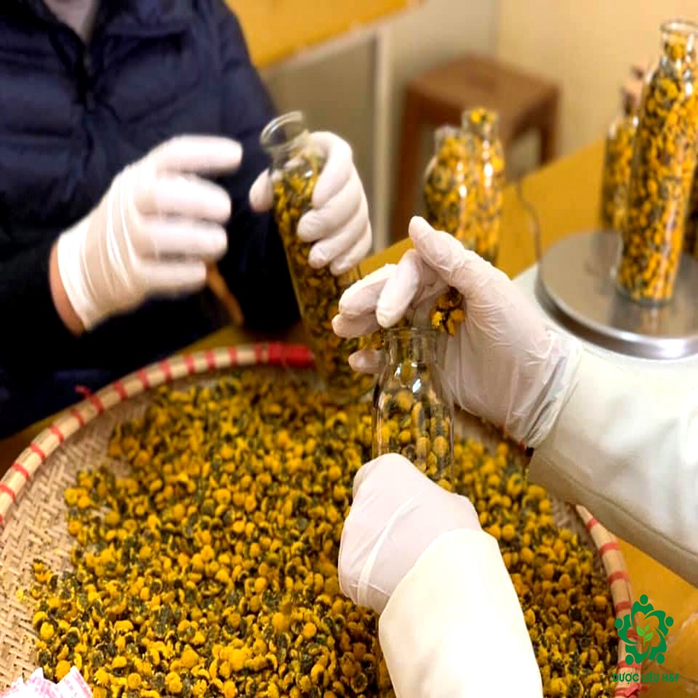 Органические 100% чистые, богатые флавоноидами и каротиноидами, желтые хризантемы для чая из Вьетнама