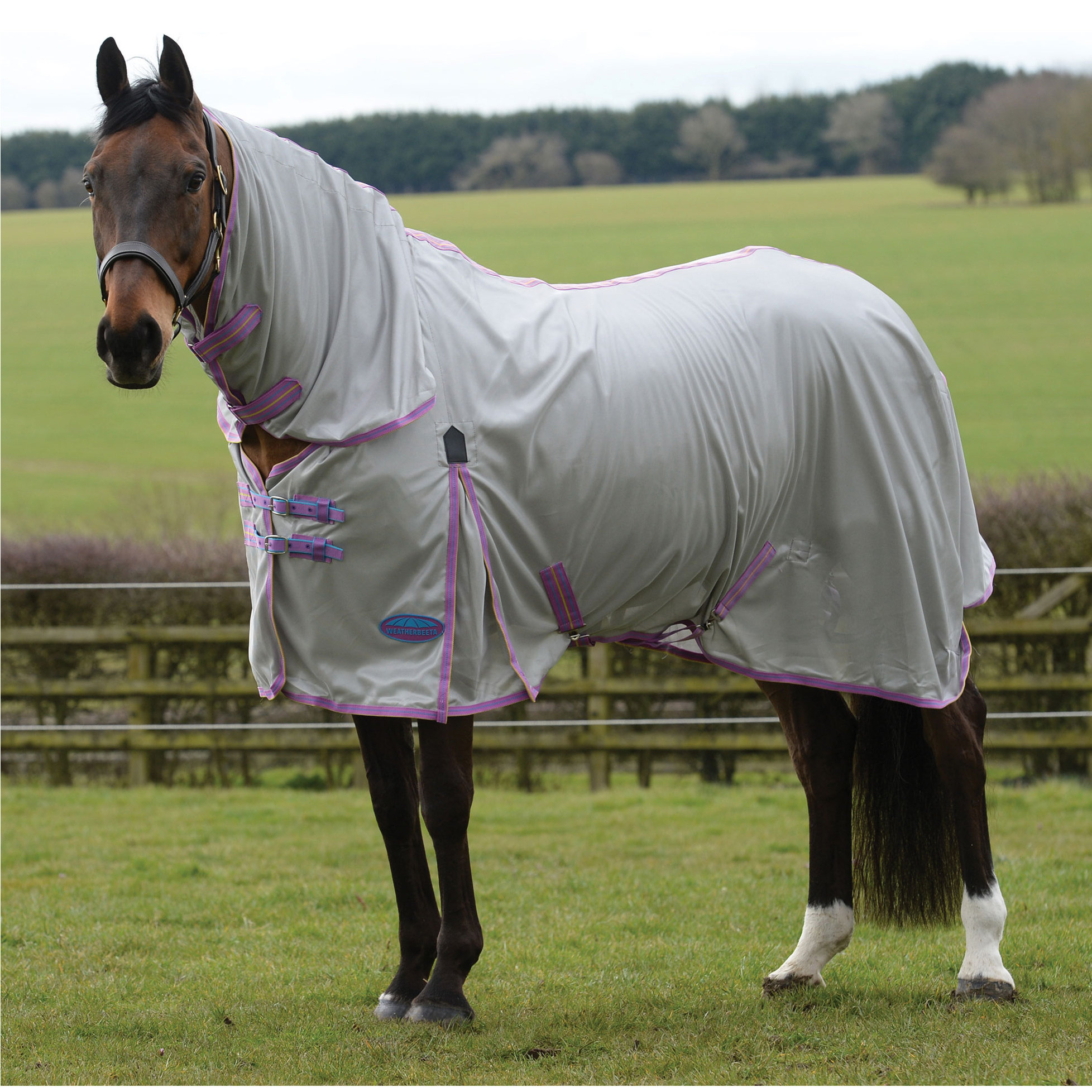 horse mesh fly rugs