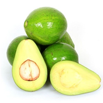 Fresh Booth Avocado- High quality avocado with best price