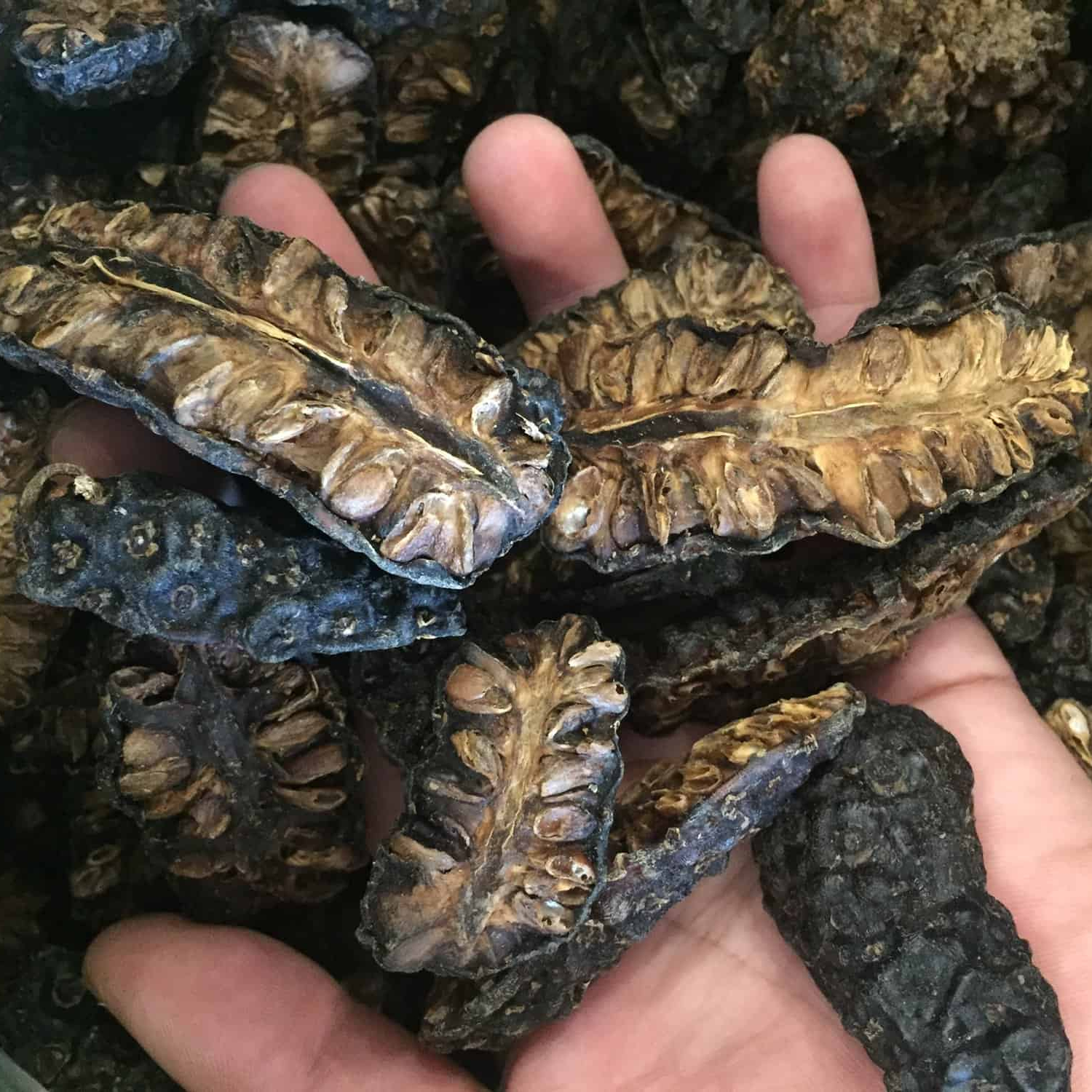 Сушеные нони фрукты, Нони порошок нони чай