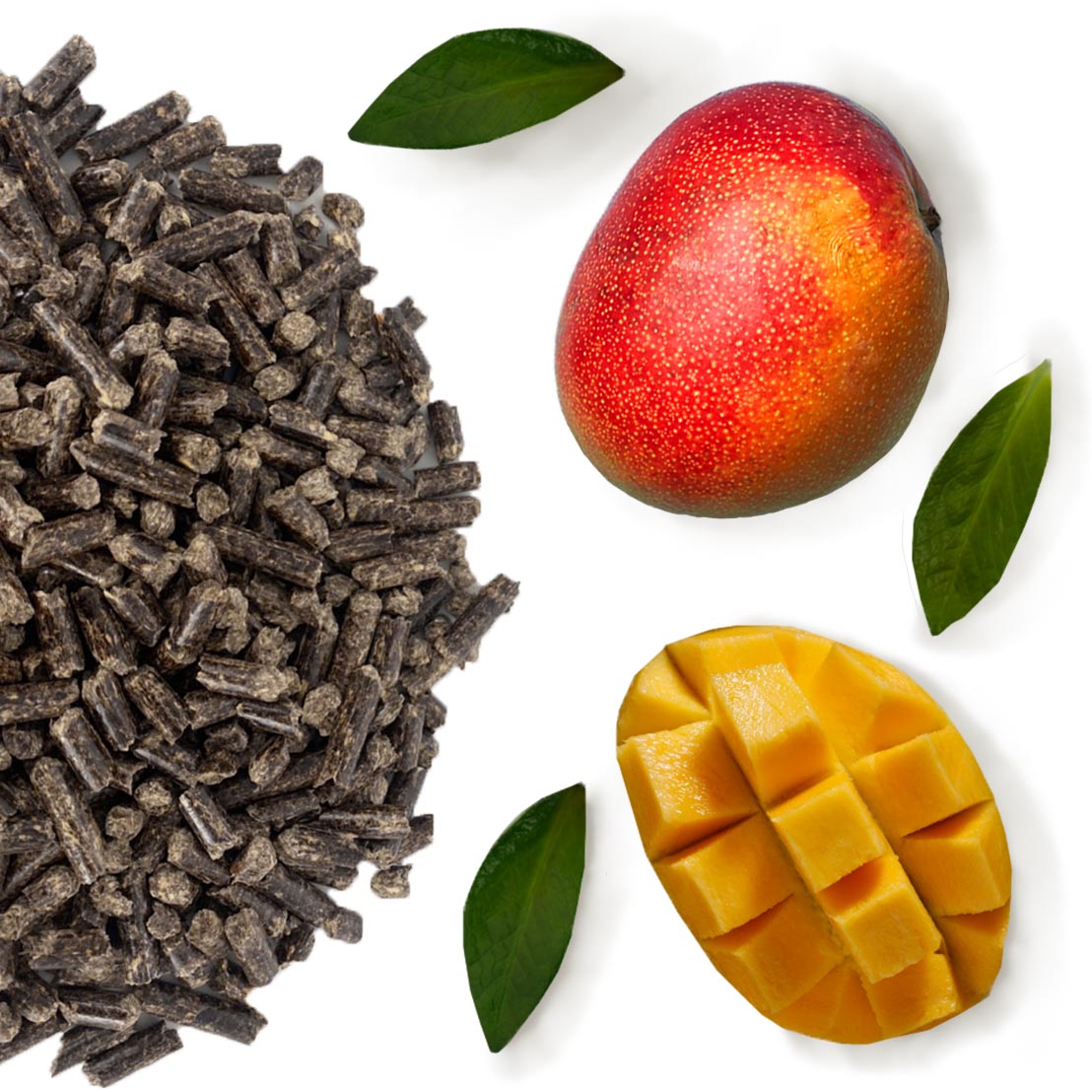 Оптовая продажа сочные 100% mango гранулы гранулятор