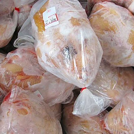 High Quality Frozen Grade A Halal Whole Chicken And Chicken Parts