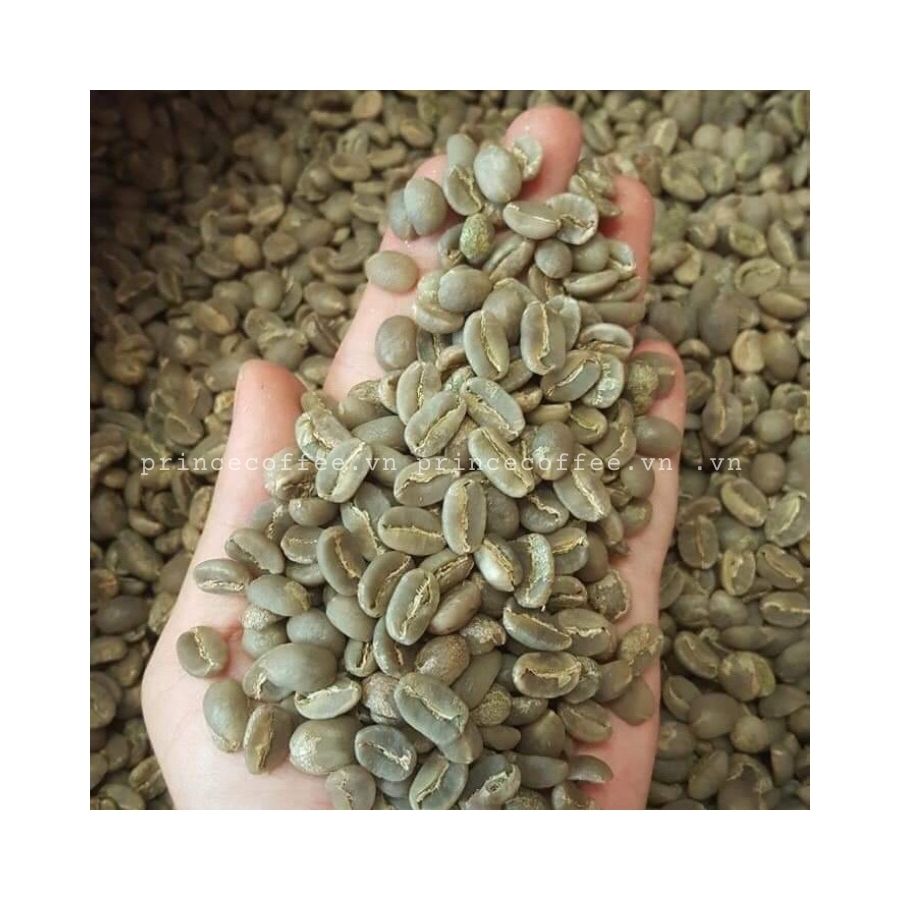 BEST SELLER Vietnam Arabica Coffee Beans Wholesal Green Coffee Bean Raw Coffee Bean