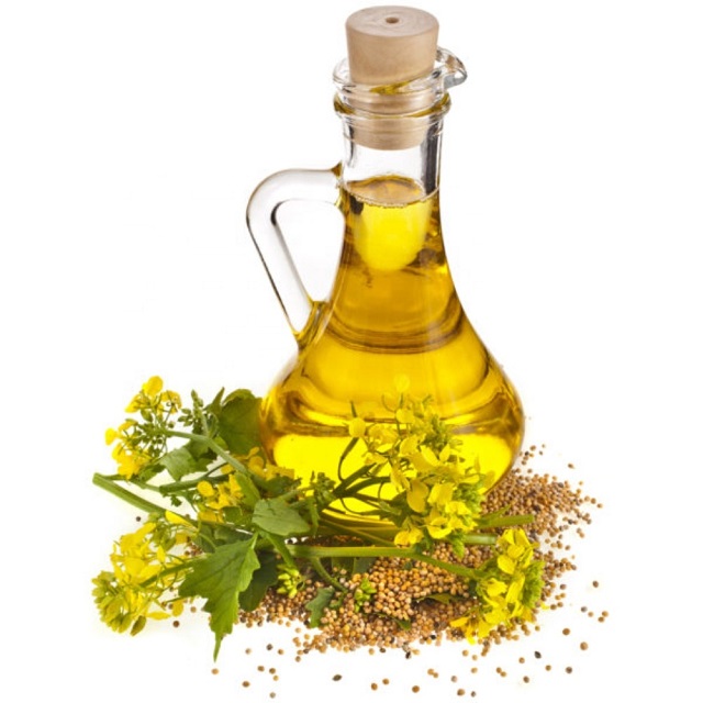 Denmark Refined rapeseed oil wholesale
