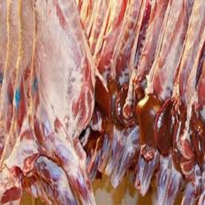 BULK PRICE Halal Frozen Lamb/ Sheep/ Mutton Meat