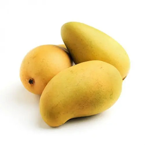 Best Seller Export Quality Fresh Nam Dok Mai Mangos Fruit Thailand