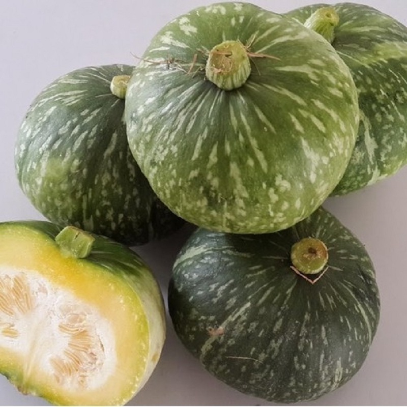 Highly Fresh Pumpkin Available