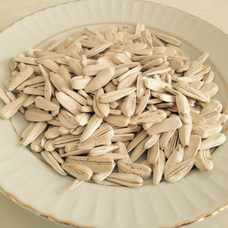 Marvelous-Sunflower seed for everyone