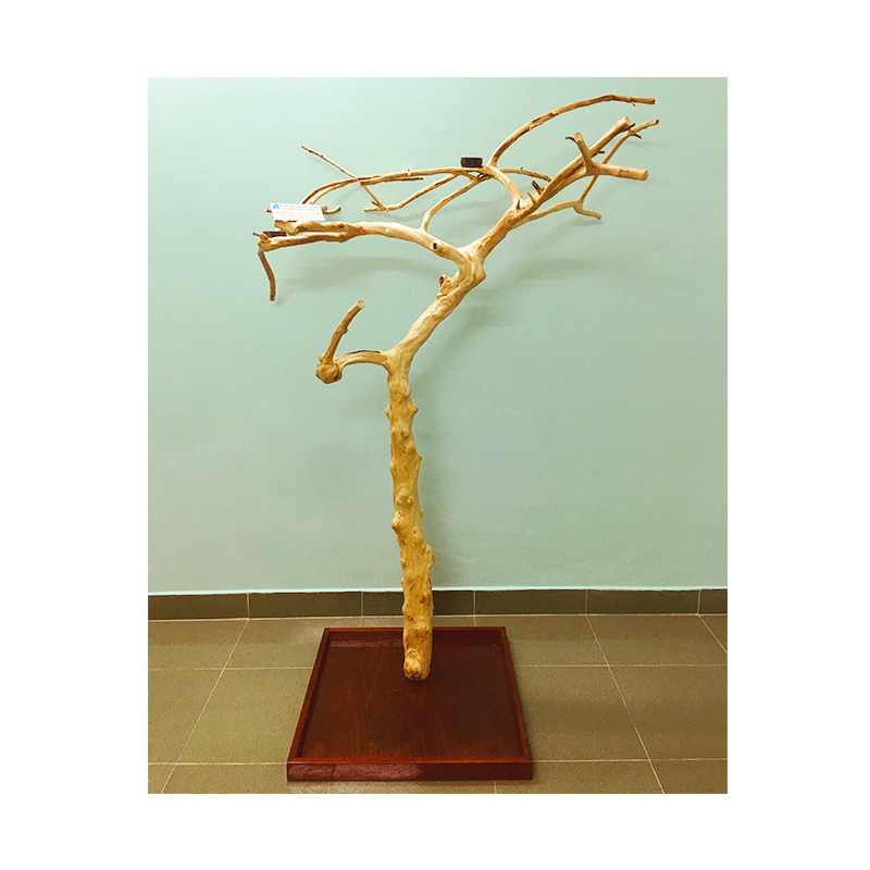 Большой игровой стенд Java Wood WhatsApp: + 84 963 949 178