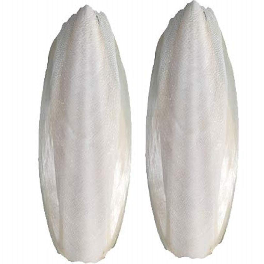 Cuttlebone Каракатица сепия кости катля рыбы корм для птиц с самым лучшим ценой из Вьетнама