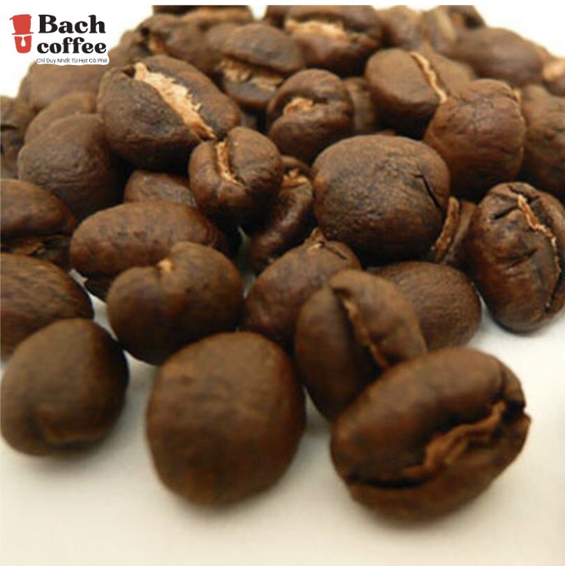 Robusta Coffee Premium Peaberry - Arabica Culi Robusta (Mixed Bean)- Italian Espresso Roast- Whole Beans - Ground Coffee