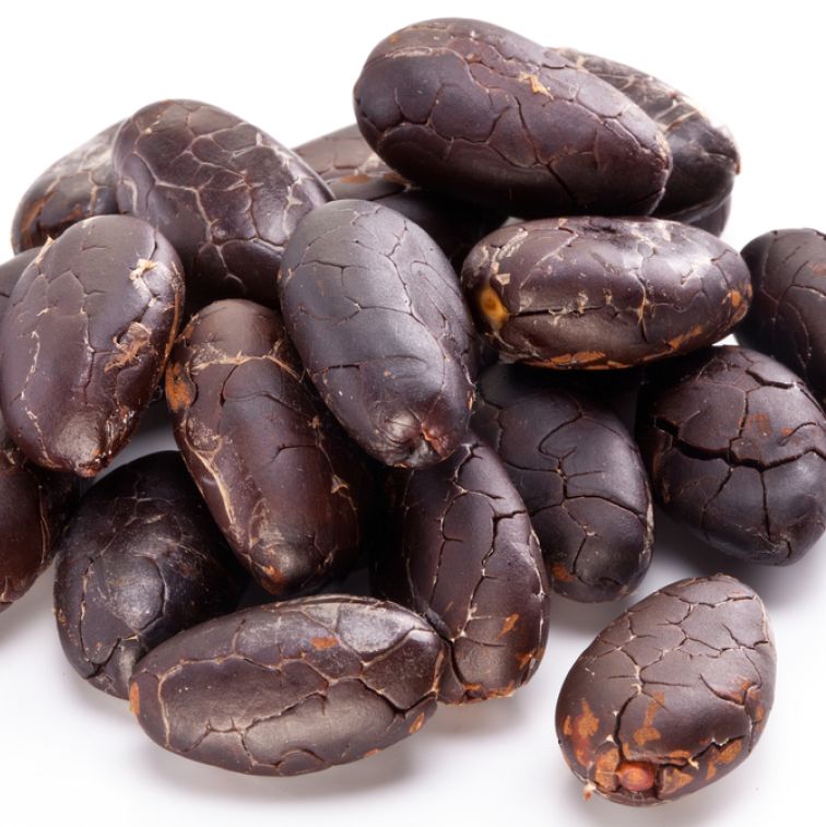 Cacao bean / cocoa (Organic certified)