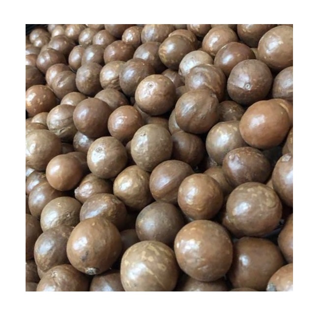 Macadamia Nuts With Best Quality And Delicious Without A Shell Made In Vietnam