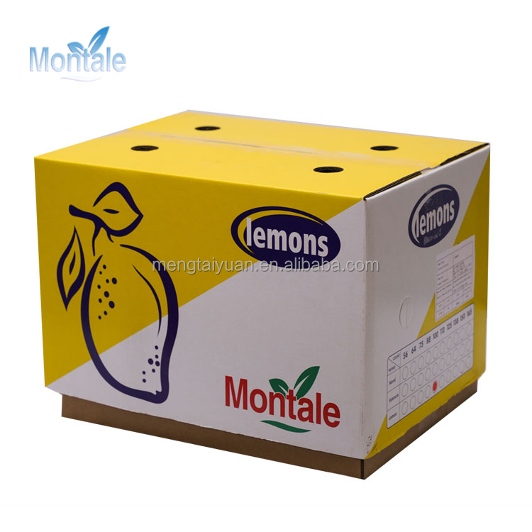 Monsale China Rich Nutrition and Delicious Fresh Organic Lemon