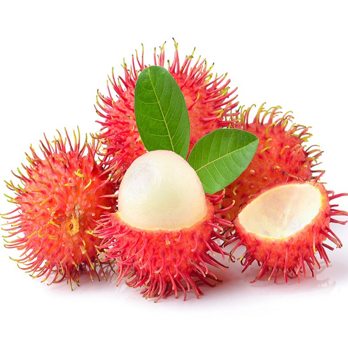 100% органический тип, размер 5 см, свежие фрукты Rambutan, экспорт вьетнамских фруктов Sunfruit