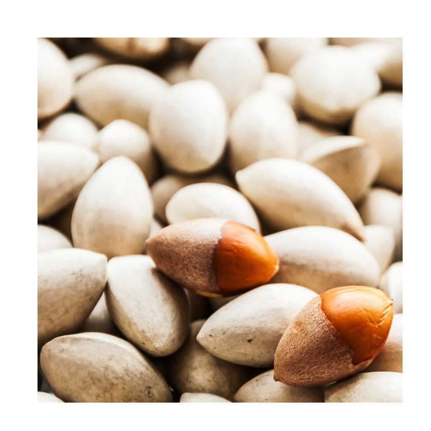 Quality Ginkgo Nuts