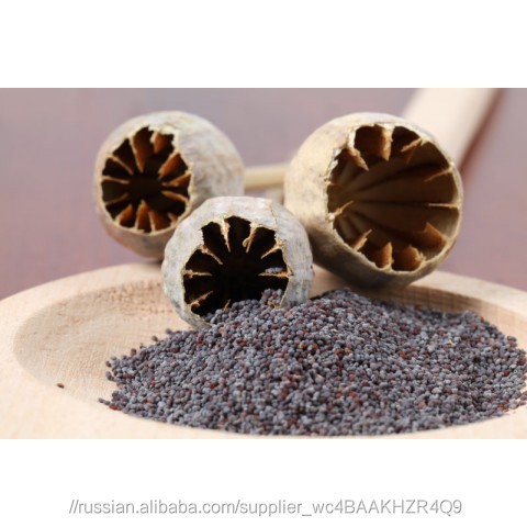Китайский Синий Маковый семена