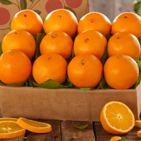 Fresh Pure Navel and Valencia Oranges For Sale .