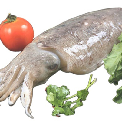Замороженная индийская морская рыба, оптовая продажа, продукт лучшего качества