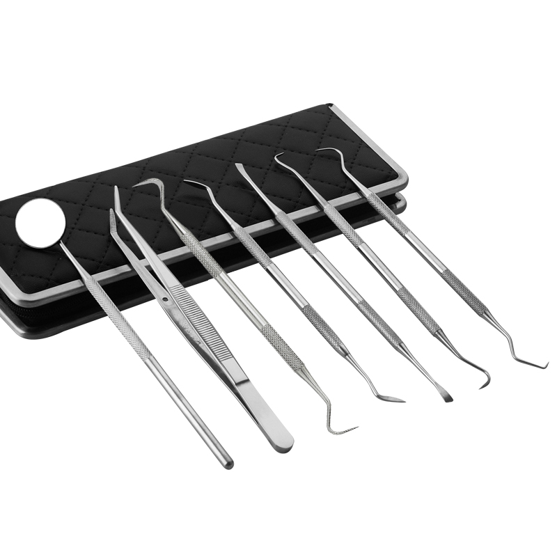 Dental Tool Kit Stainless Steel Dentist Instruments Surgical