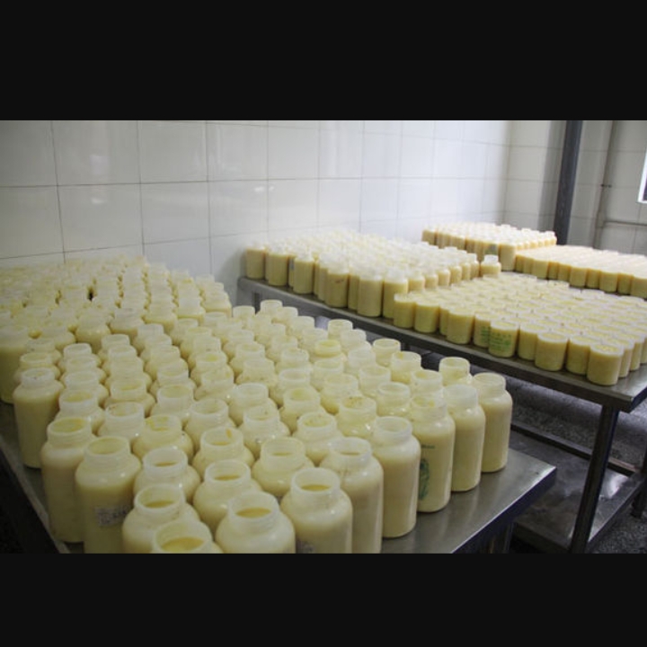 Best-selling pure royal jelly/lyophilized royal jelly powder