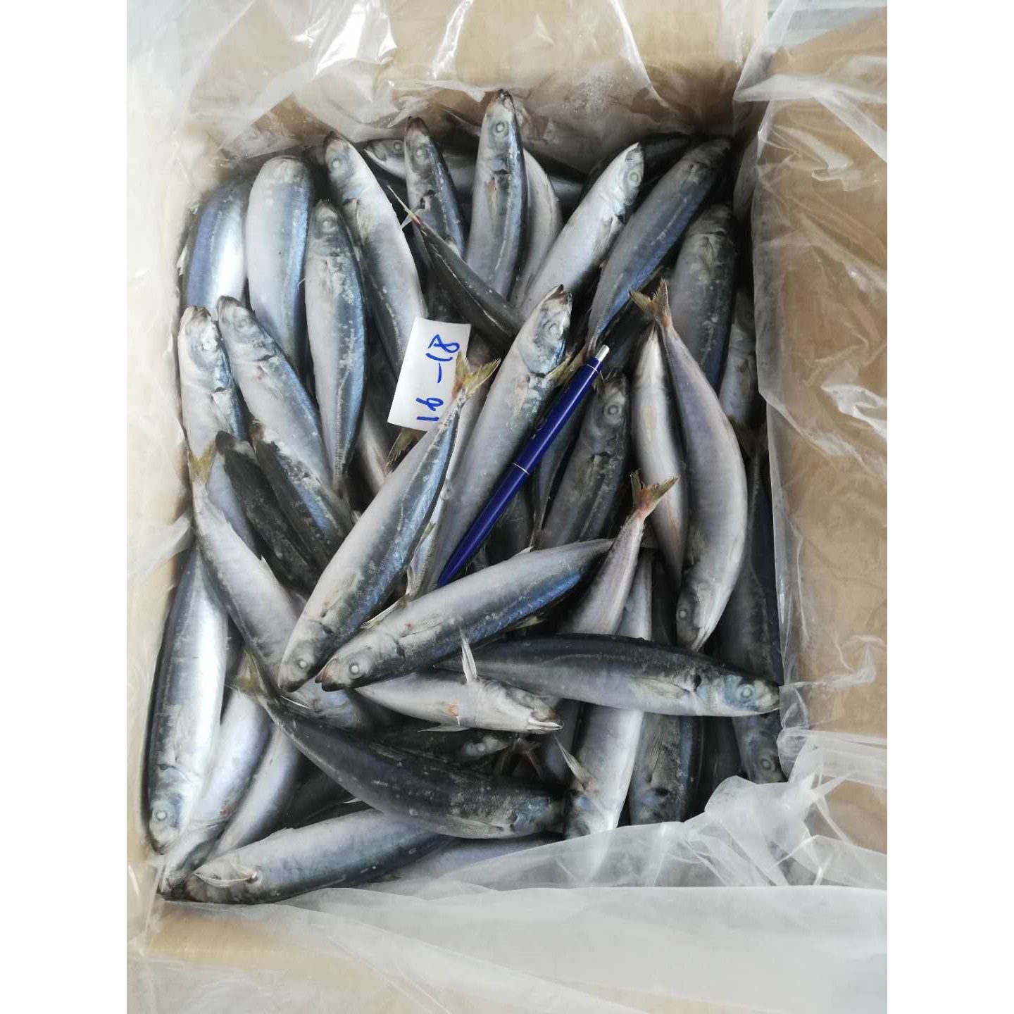 Замороженная скумбрия-layang scad fish-высокое качество, низкая цена