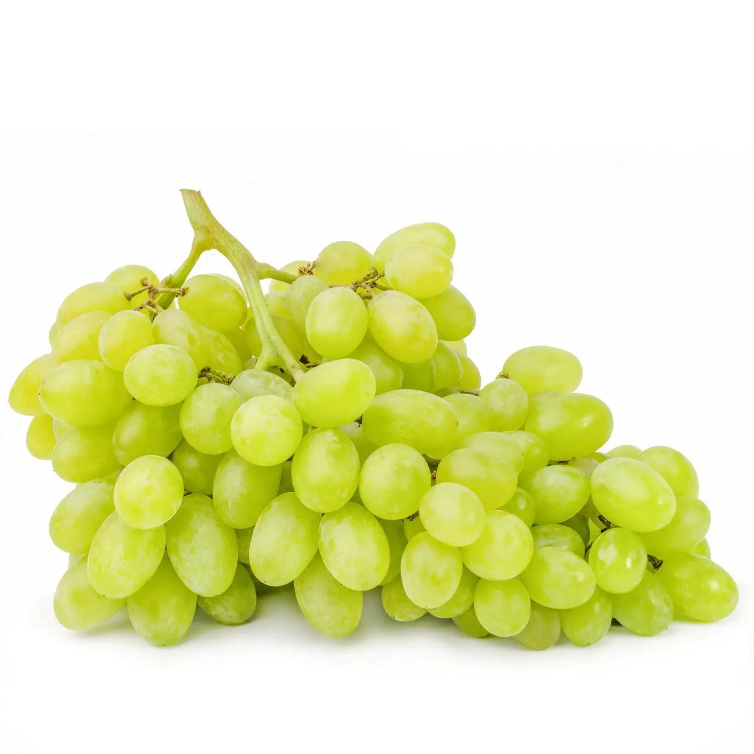 Bulk Quantity Fresh Green Grapes For Export