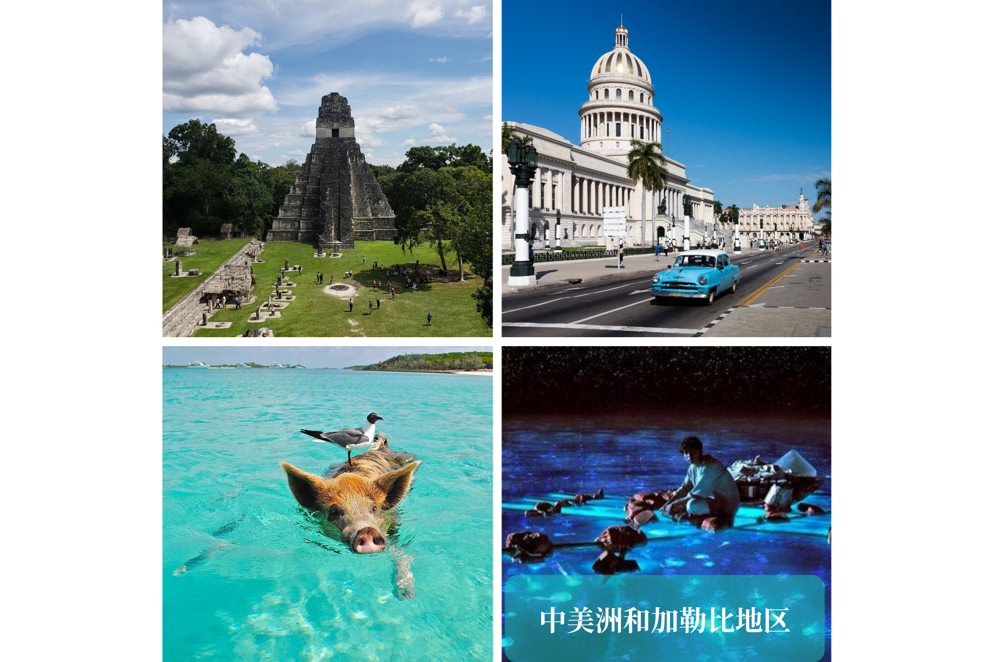 Tour traveller packages to The Caribbean