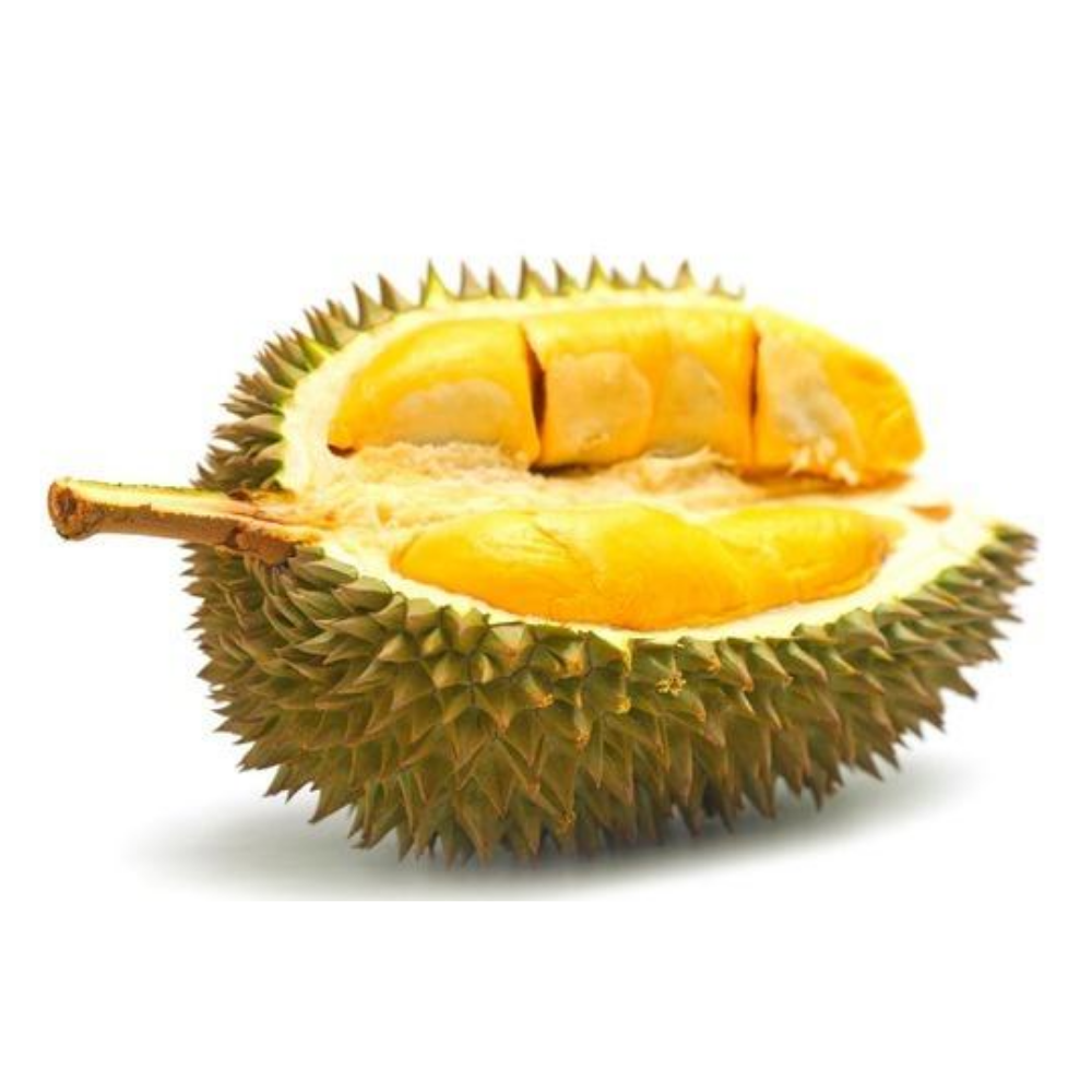 Лучшая цена свежий MONTHONG DURIAN из Вьетнама на продажу