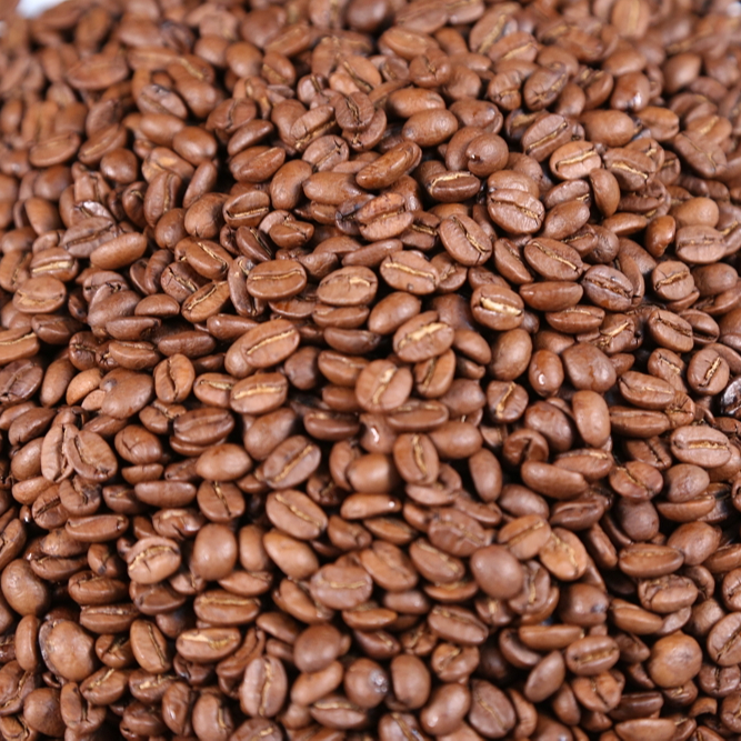 Good Price High Quality Arabica Coffee Bean From Vietnam