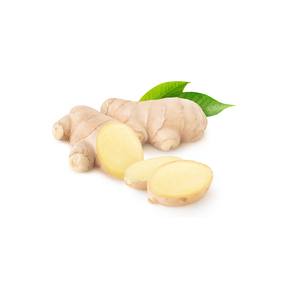 Wholesale Pure & Natural Ginger Spice Oil Supplier