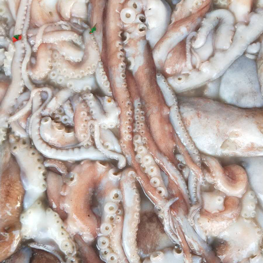 Hot Selling High Quality Frozen 340g Wild Small Frozen Octopus Price For