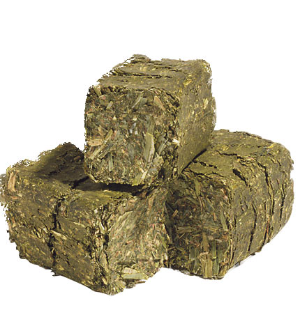Alfalfa Hay Bales/Alfalfa Cubes/Alfalfa Pellets