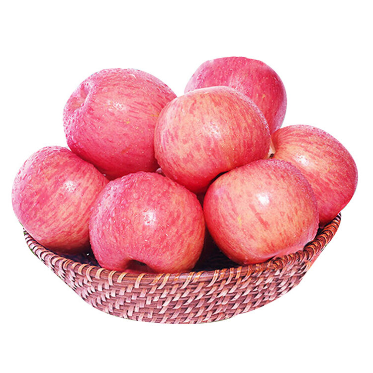 Premium Quality Fresh Delicious Red & Green Apple