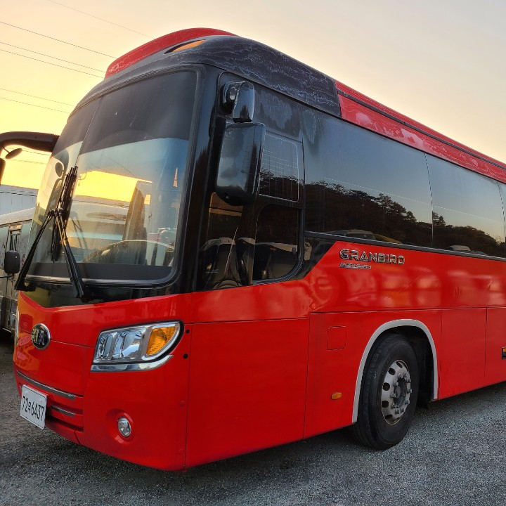 Подержанный автобус Kia Granbird Parkway 2010Y 425HP для продажи в Корее