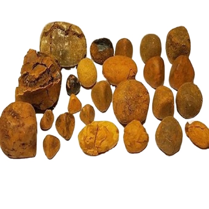 Selling Quality Ox/ Cow Gallstone