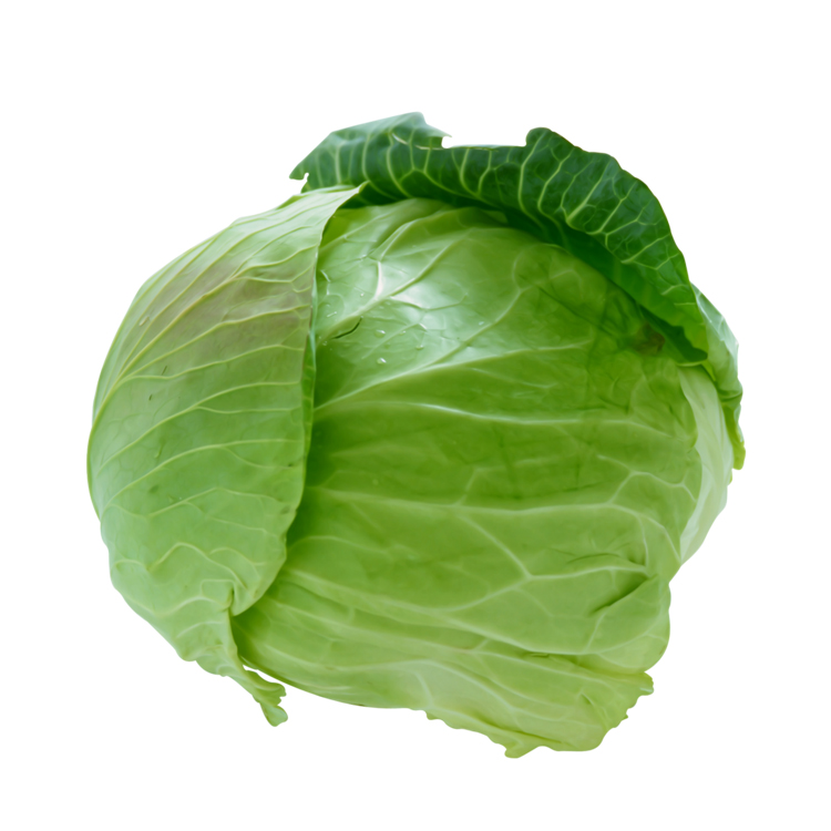 Natural high quality Fresh green cabbage