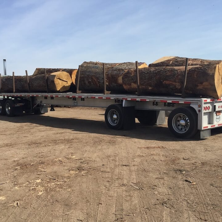 White Oak Sawn Logs, 30+ cm Diameter