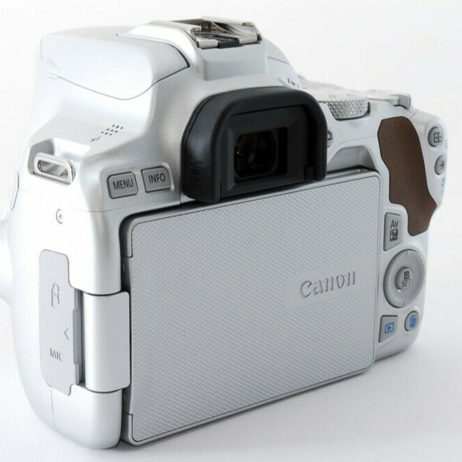 Оптовая продажа для цифровой зеркальной камеры Canon EOS 5D Mark IV и объектива 24-105 мм f/4L II USM + профессиональный комплект для видеосъемки 64 ГБ