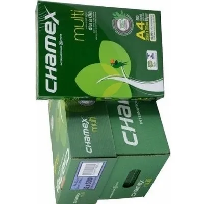 Chamex Copy Paper A4 Size Office Paper 80 gsm 5 Ream/Box