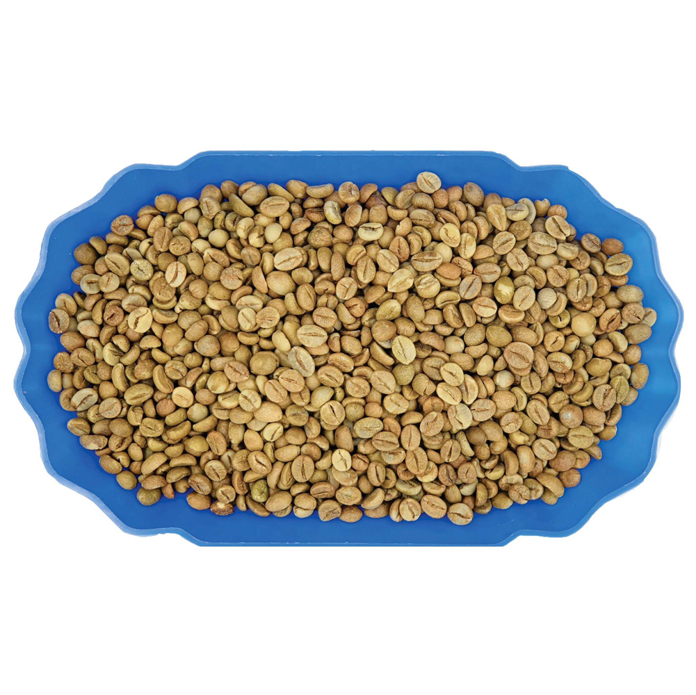 Fine Natural Robusta Green Coffee Beans Specialty Robusta Simexco Daklak for making best coffee