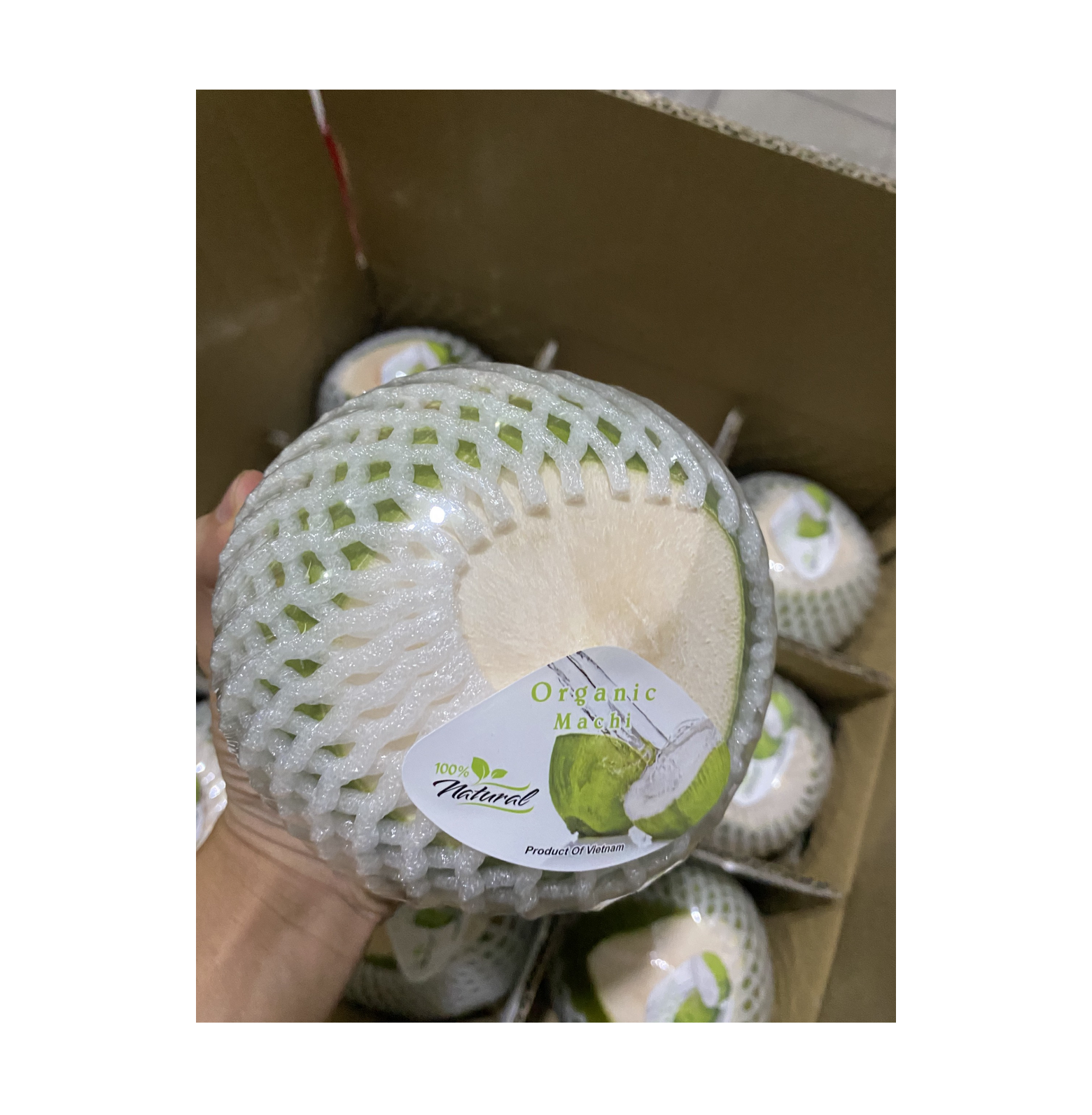 Premium Fresh Coconut With Natural Sweet Flavour From Vietnam for sale