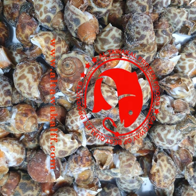 Замороженные TOPSHELL