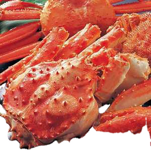Wholesale Live Canadian Red King crabs for sale