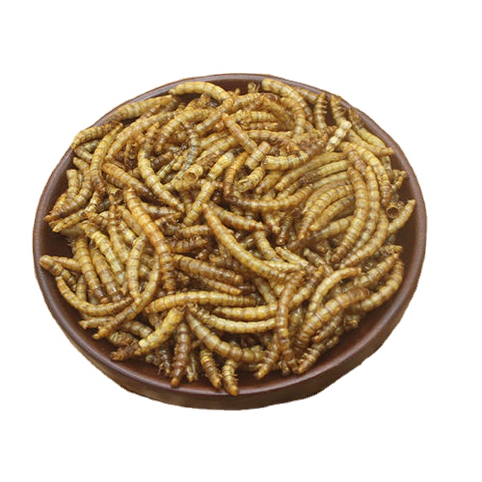 Popular natural material dried mealworms with high nutrition