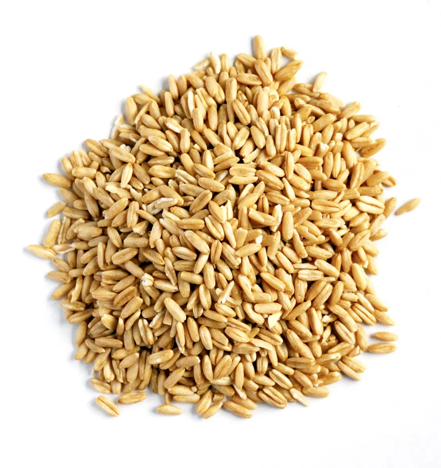 Animal Barley/Wheat/ Oats/ Maize