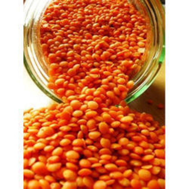 Lentil Seed