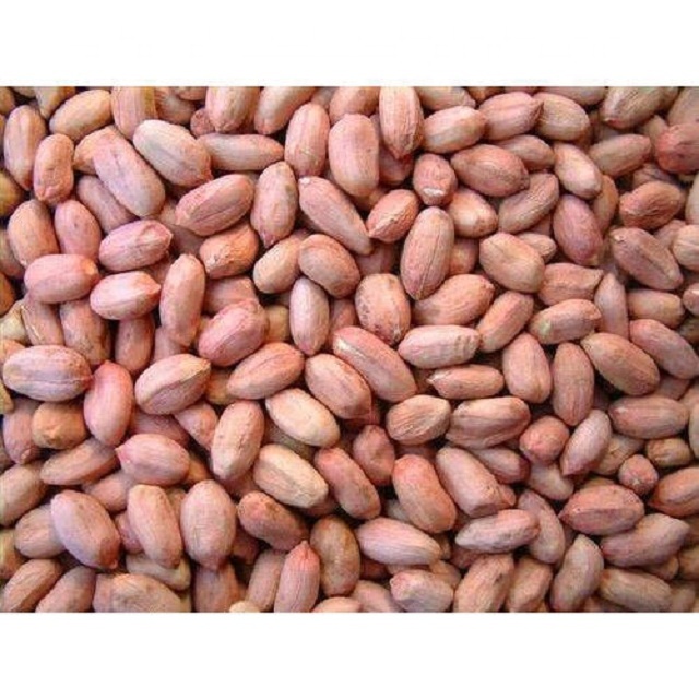 PREMIUM HPS PEANUT BOLD 40/45 FOR CHOCOLATES PRICE