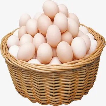 Свежие куриные настольные яйца и удобрённые инкубационные яйца, белые и коричневые яйца