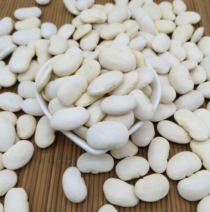 Белая фасоль